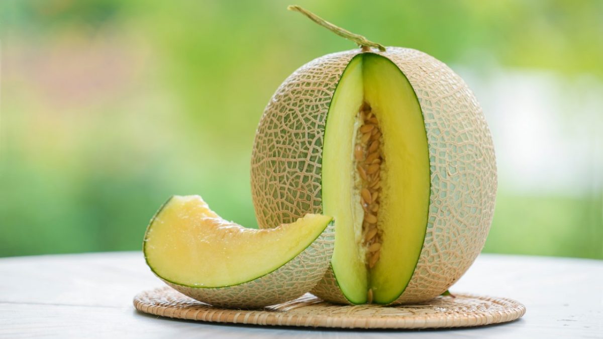 Melon untuk Pencernaan: Manfaat Serat Alami untuk Kesehatan Saluran Cerna